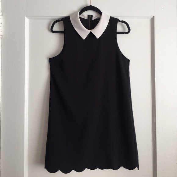 kaitlyn Dresses & Skirts - Peter Pan Collar Scallop Hem LBD Kaitlyn M